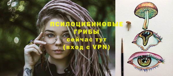 дживик Абаза